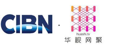 华视频道,聚焦时代脉搏，展现多彩生活