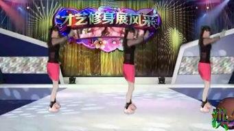 广场舞视频在哪里下载,热门平台一网打尽