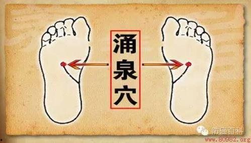 按涌泉视频,揭秘生活美好瞬间，感受人间烟火气