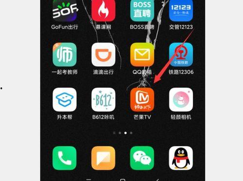 手机芒果视频,手机端娱乐新体验,精彩内容一触即达