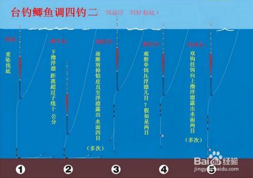 如何调鱼漂视频,轻松掌握调鱼漂技巧