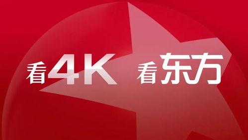 上海卫视视频,精彩瞬间背后的故事