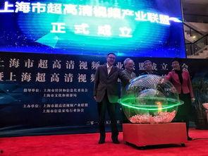 上海卫视视频,精彩瞬间背后的故事