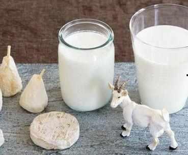 羊奶视频,揭秘羊奶视频中的健康奥秘